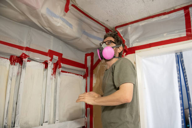 Best Mold Remediation for Healthcare Facilities  in Bloomfield, IA