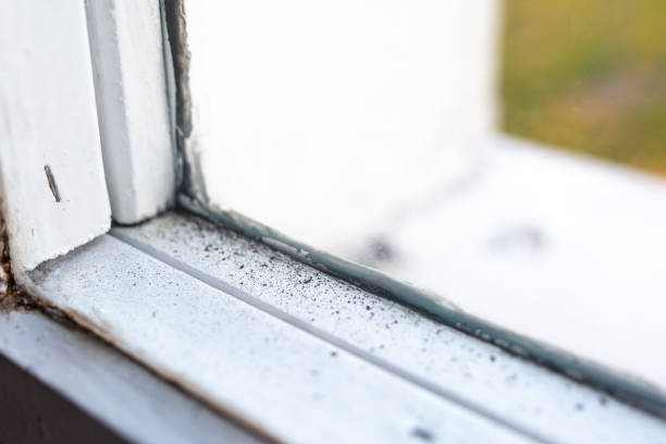 Best Indoor Air Quality Assessment  in Bloomfield, IA